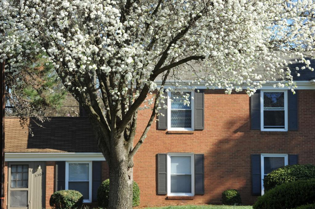 English Garden Apartments Lerner Apartments